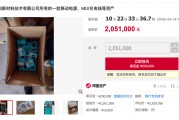 罗马仕子公司14.7万根充电线、2万多个充电宝将被法拍，七折甩卖，起拍价205万元